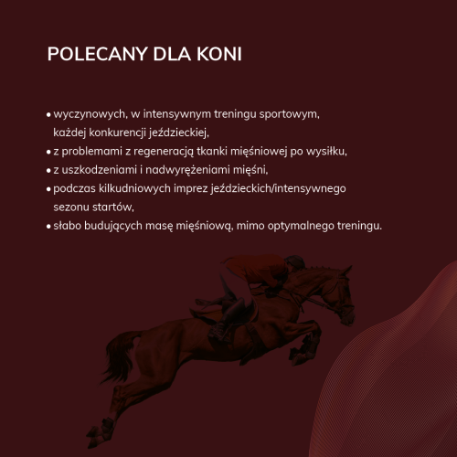 preparat-regenerujacy-tkanke-miesniowa-hippovet-phatmacy-muscleguard