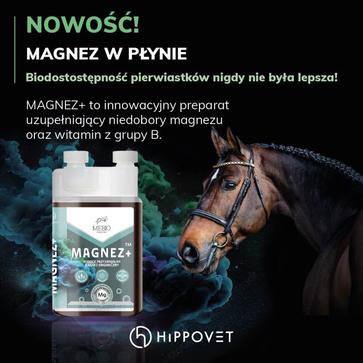 magnez-koni-mebio-magnez+