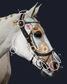 PresTeq-oglowie-anatomiczne-FaySport-Glitter