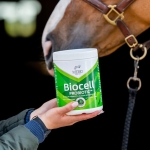 probiotyk-mebio-biocell-probiotic-complex