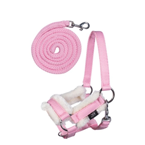 kantar-i-uwiaz-hkm-hobby-horsing