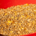 coolandcooked2-768x768.jpg