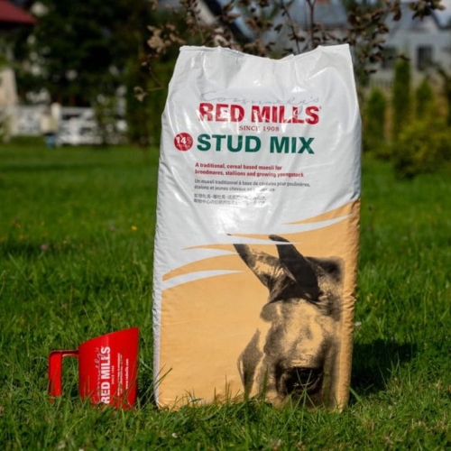 Stud-Mix-front-768x768.jpg