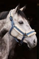kantar-horze-marquess