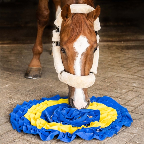 mata-wechowa-qhp-snaffle-mat
