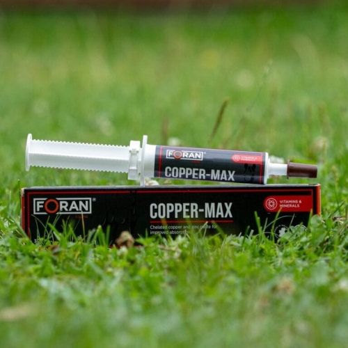 miedz-FORAN-Copper-Max-pasta.jpg