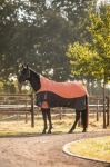 derka-padokowa-horze-luzerne-high-neck-600d-250g