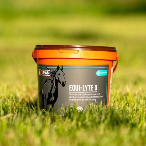 elektrolity-FORAN-Equi-Lyte-G.jpg