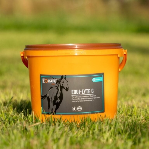 Equi-Lyte-G-4-kg-768x768.jpg