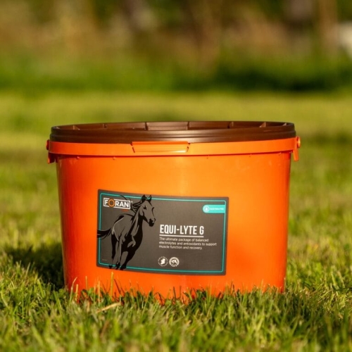 FORAN-Equi-Lyte-G-10-kg.jpg
