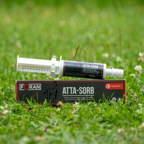 FORAN-Atta-Sorb-pasta.jpg