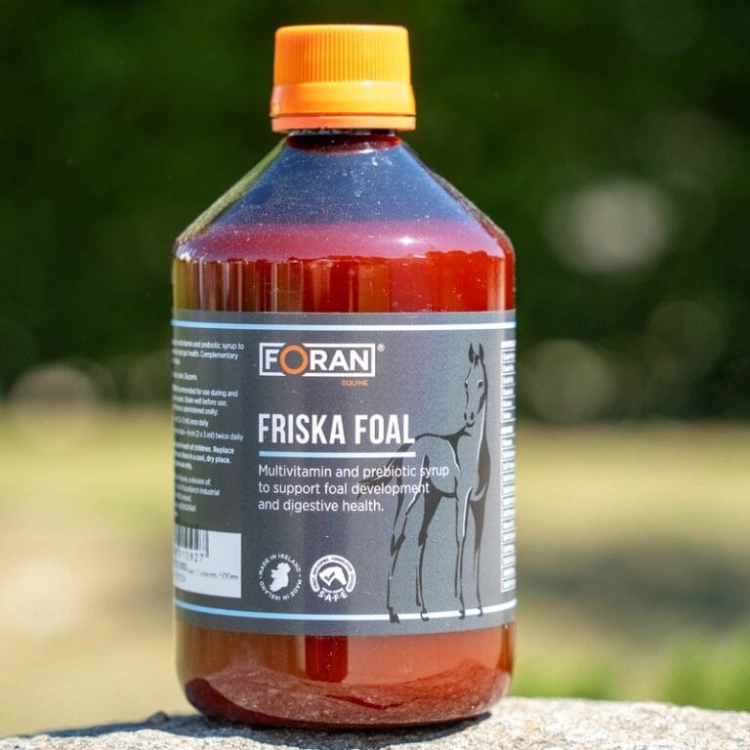 Friska-Foal-500-ml.jpg