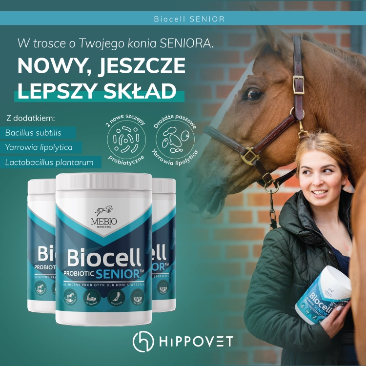 probiotyk-dla-koni-starszych-mebio-biocell-probiotic-senior