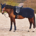derka-treningowa-polarowa-horze-marquess