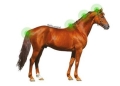 plyn-na-egzeme-i-lipcowke-animaderm-original