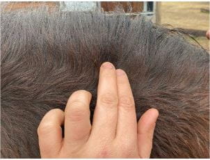 plyn-na-egzeme-i-lipcowke-animaderm-clear
