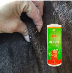 plyn-na-egzeme-i-lipcowke-animaderm-clear