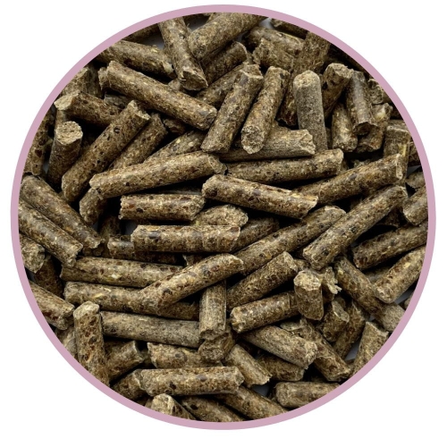 granulat-poprawiajacy-stan-siersci-i-skory-biofeed-candy-pellet-shiny-coat