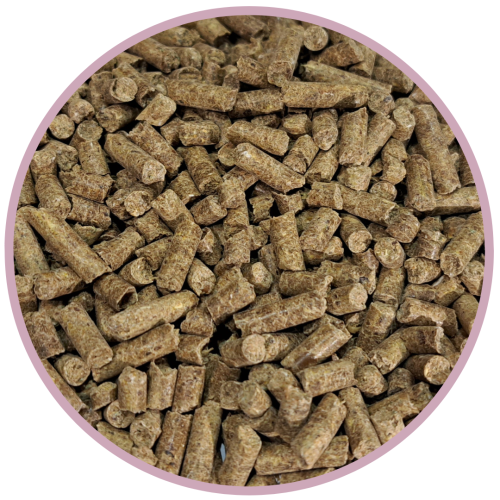 witaminy-i-mineraly-biofeed-candy-vitamins-and-minerals