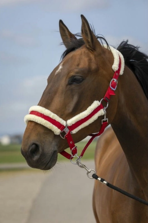 equitheme-nylon-mouton-headcollar (1).jpg
