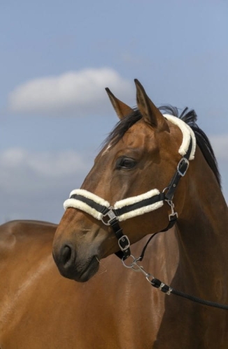 equitheme-nylon-mouton-headcollar.jpg