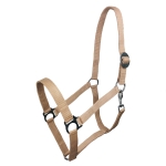 Kantar York "Harmony"