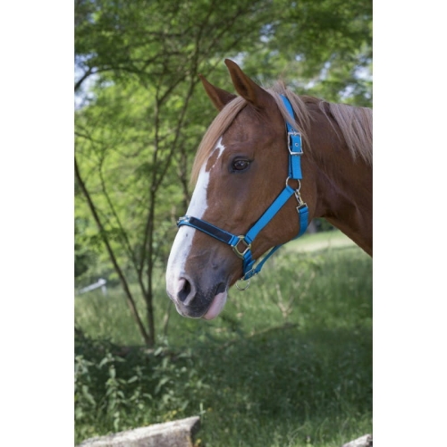 snaffle-strass-nylon-headcollar (1).jpg