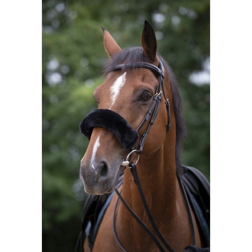equitheme-teddy-noseband-sleeve (6).jpg
