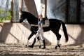 09735_AIKO_SS_7.jpg