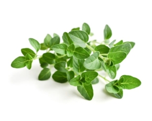 Zioła EQUIHERBS "Oregano" 3 kg