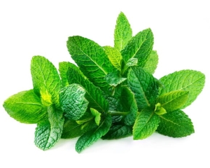 Mięta EQUIHERBS 1 kg