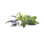 Mięta pieprzowa EQUIHERBS 1 kg
