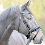 Nachrapnik szwedzki kombinowany Kavalkade "Charlotte"