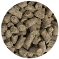 granulat-dla-koni-sportowych-biofeed-active-pellets