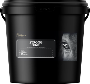 Dodatek na układ kostny BIOFEED Horse & Pony "Strong Bones" 6 kg