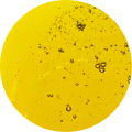 olej-sojowy-biofeed-soya-oil