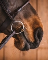 wedzidlo-fager-axel-sweet-gold