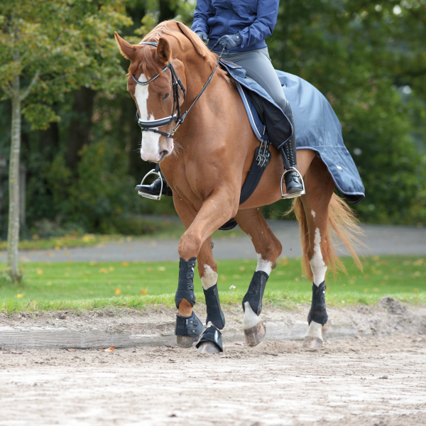 buuse dressage pro ochraniacze dla konia.png
