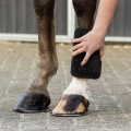 gabka-qhp-equi-super-shiner