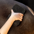 gabka-qhp-equi-super-shiner