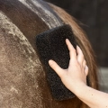 gabka-qhp-equi-super-shiner