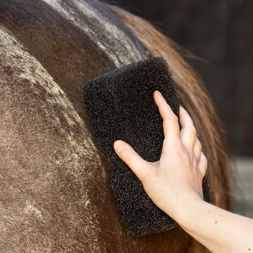 gabka-qhp-equi-super-shiner