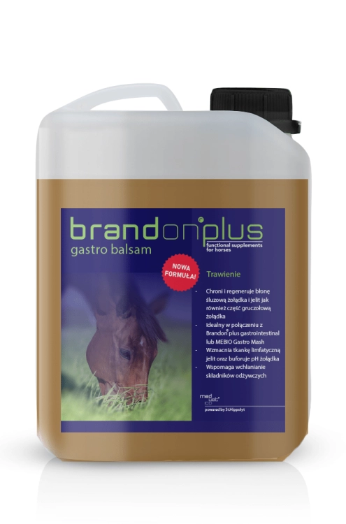 brandon-gastro-balsam na wrzody dla koni.png