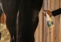 scandia-cosmetics-tail-story.JPG