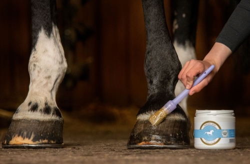 scandia-cosmetics-wonder-hoof.jpg