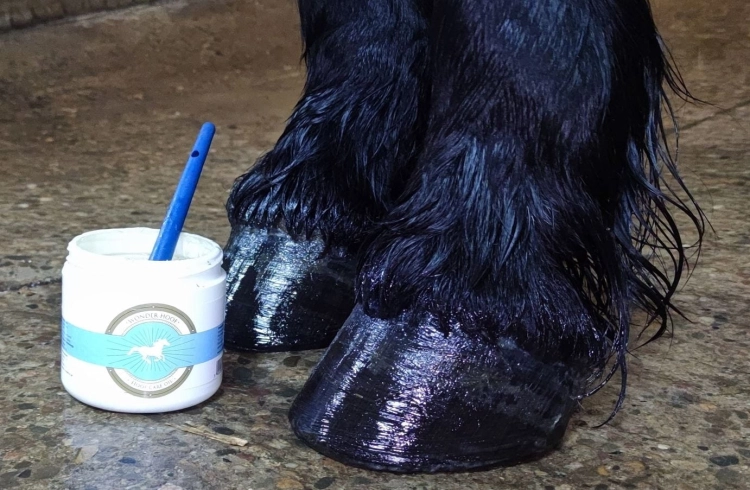 olej-kopyt-scandia-cosmetics-wonder-hoof.JPG