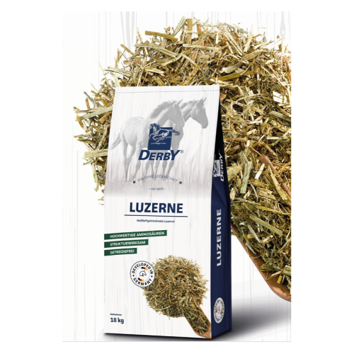 derby-luzerne-sieczka-z-lucerny.jpg