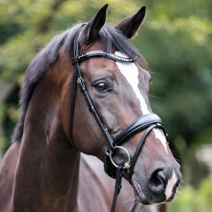 Ogłowie Kavalkade "Mia"