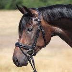 Ogłowie anatomiczne Kavalkade "Ivy Plus" KavalSH4