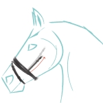 Nachrapnik kombinowany Kavalkade "Cre8" KavalSH4